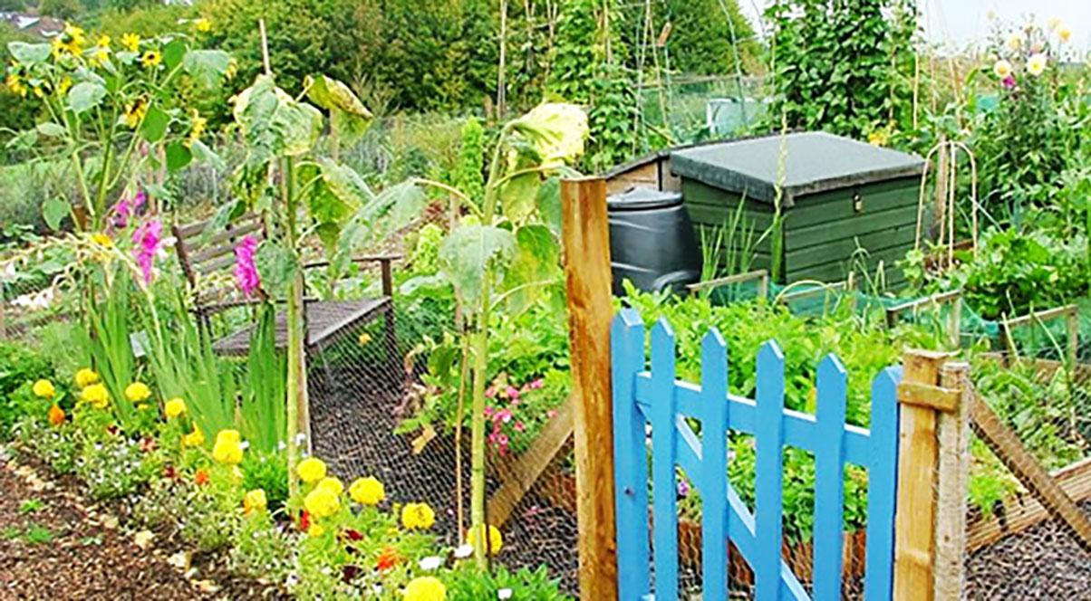 Allotments